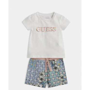 ENSEMBLE GUESS