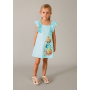 Robe Mayoral